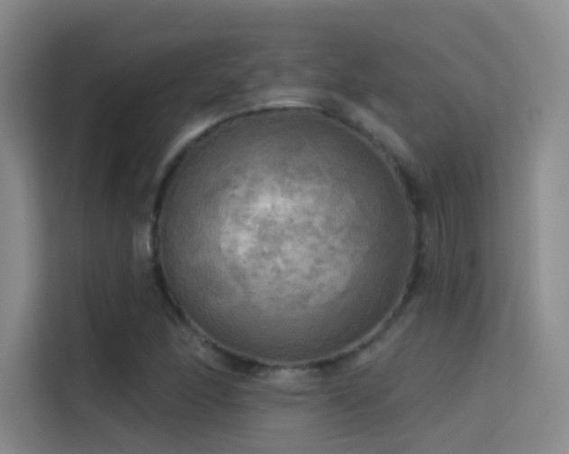 X0000114671166200910211144