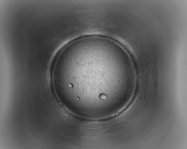 X0000114671167200910211144