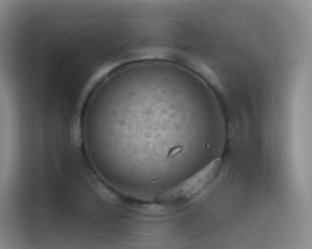 X0000114671172200910211144