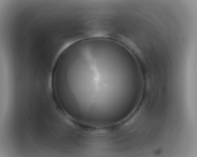 X0000114671174200910211144