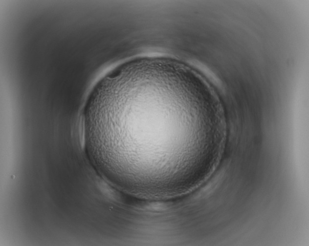 X0000114671175200910211144