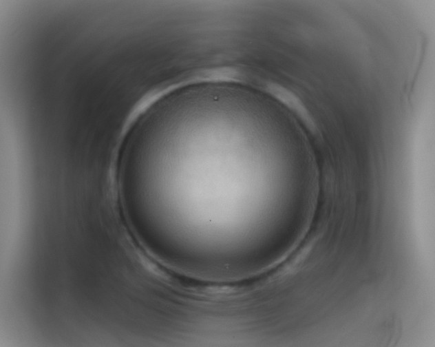 X0000114671176200910211144