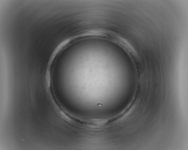 X0000114671180200910211144