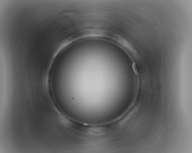 X0000114671181200910211144