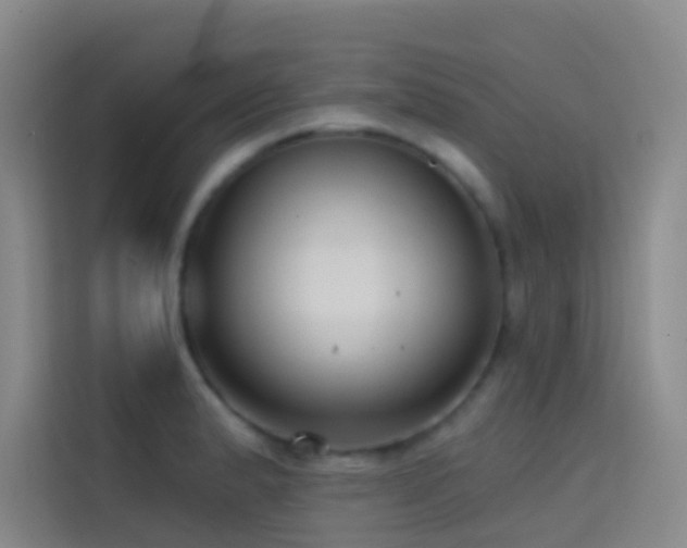 X0000114671183200910211144