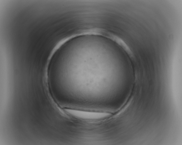X0000114671184200910211144