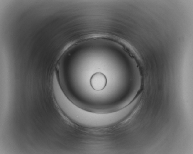 X0000114671185200910211144