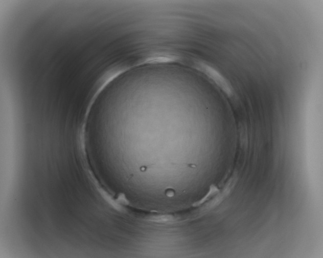 X0000114671186200910211144