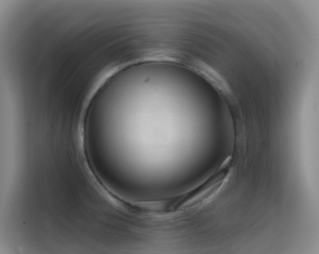 X0000114671188200910211144