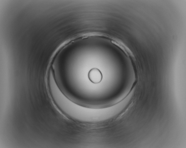 X0000114671189200910211144