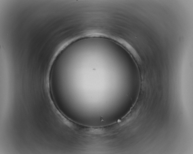 X0000114671191200910211144