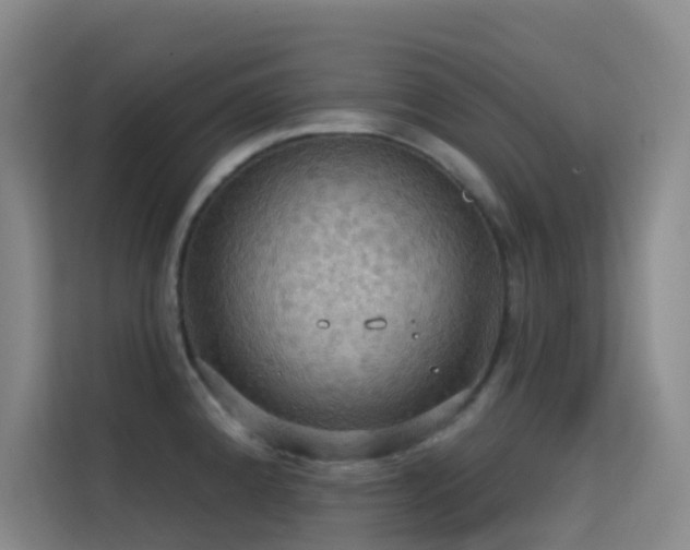 X0000114671192200910211144