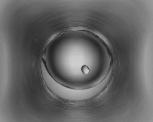 X0000114671193200910211144