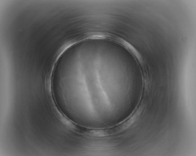 X0000114671194200910211144