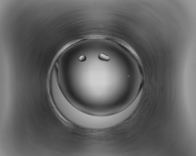 X0000114671195200910211144