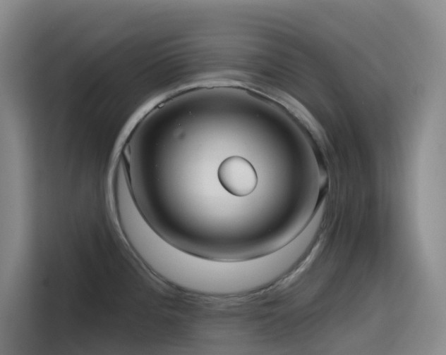 X0000114671196200910211144