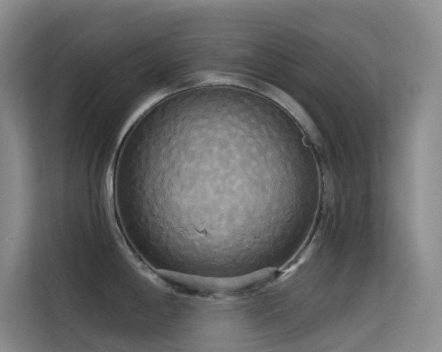 X0000114671198200910211144