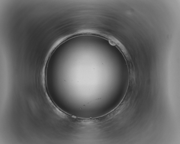 X0000114671199200910211144