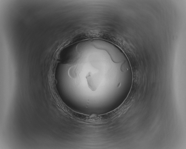 X0000114671201200910211143