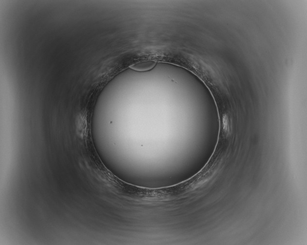 X0000114671203200910211143