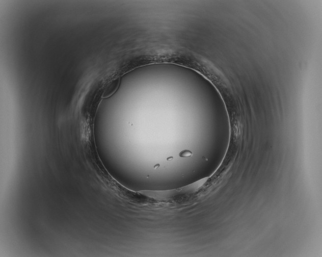 X0000114671204200910211143