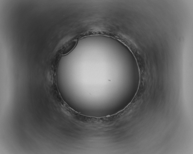 X0000114671207200910211143