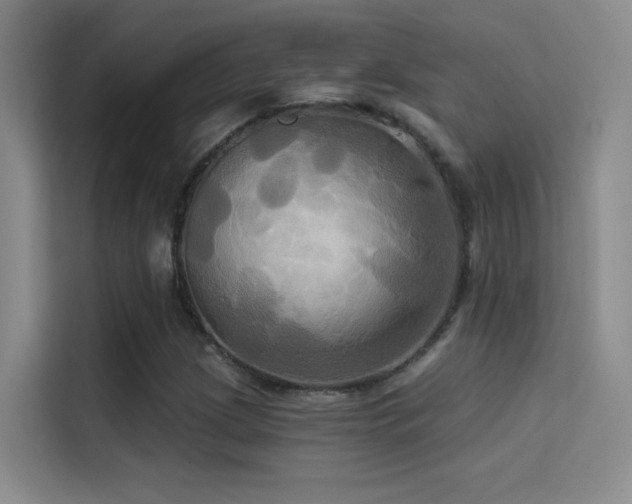 X0000114671209200910211143