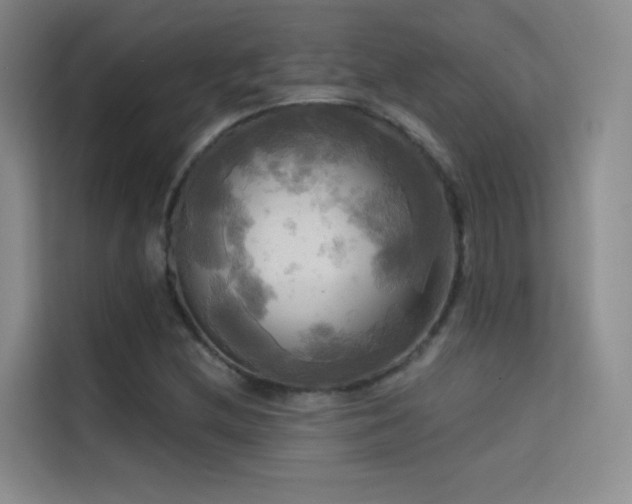X0000114671212200910211143