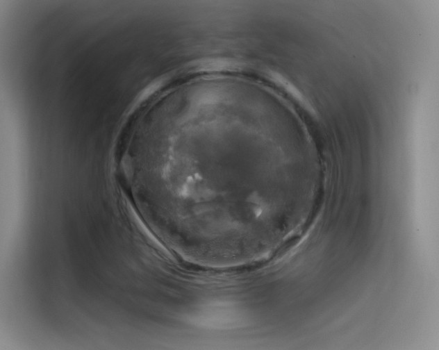 X0000114671213200910211143