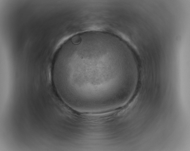 X0000114671214200910211143