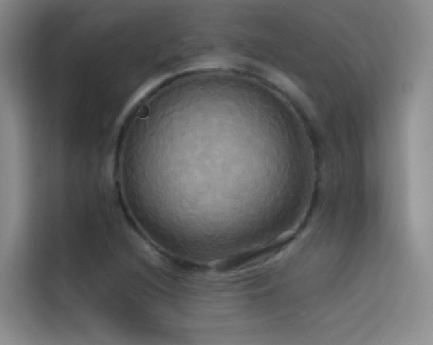 X0000114671216200910211143