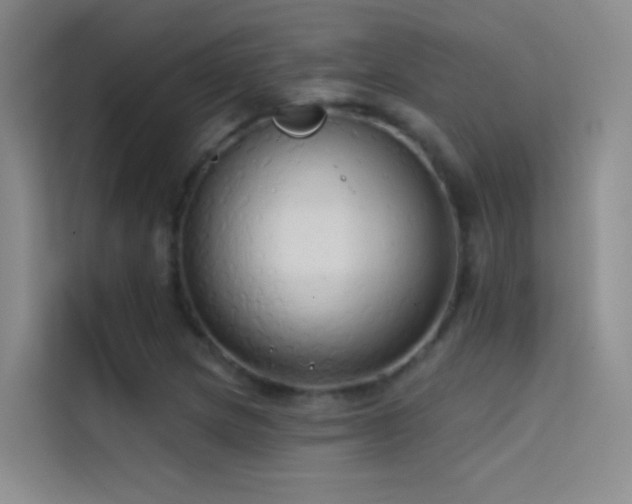 X0000114671217200910211143