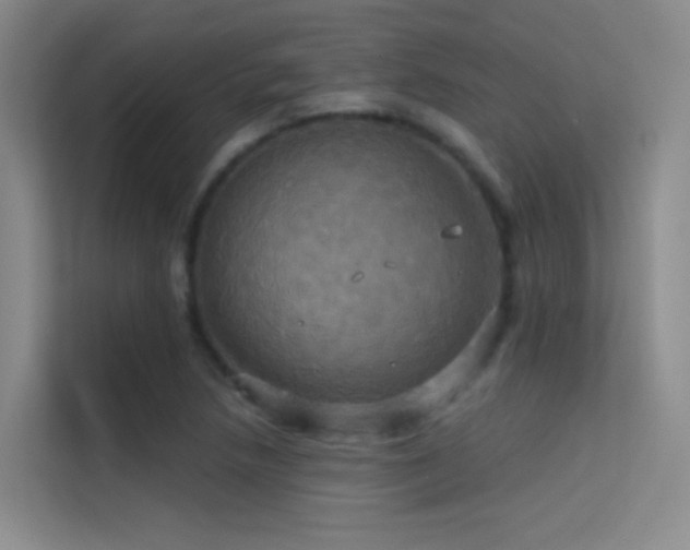 X0000114671218200910211143