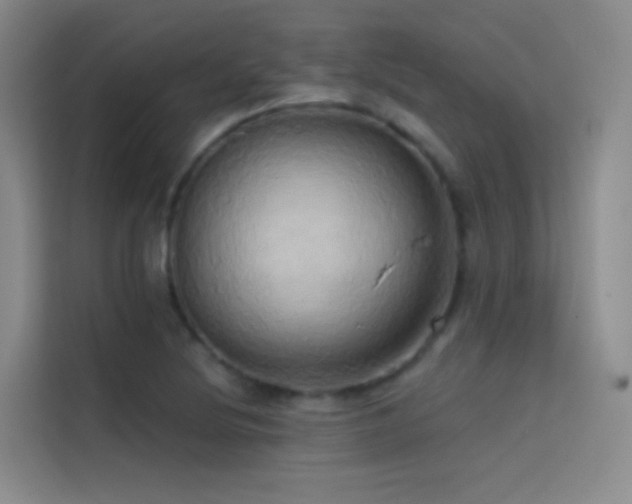 X0000114671220200910211143