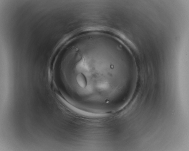 X0000114671221200910211143