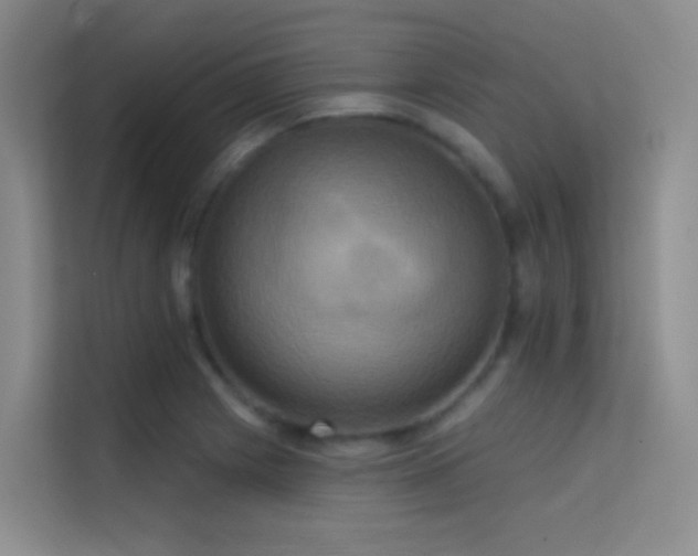X0000114671225200910211144