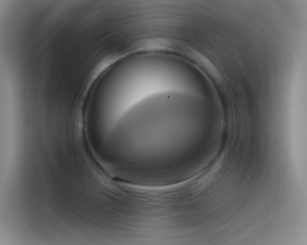 X0000114671226200910211144