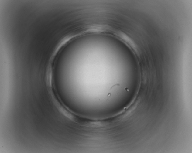 X0000114671227200910211144