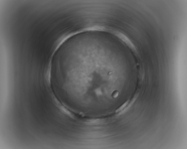 X0000114671228200910211144