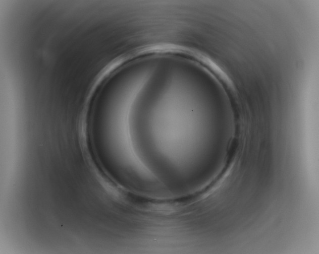 X0000114671229200910211144
