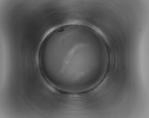 X0000114671230200910211144