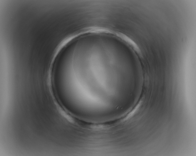 X0000114671231200910211144