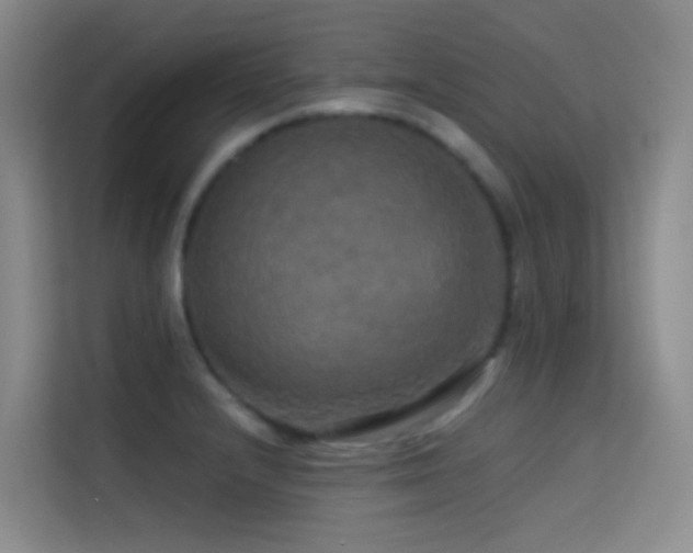 X0000114671232200910211144