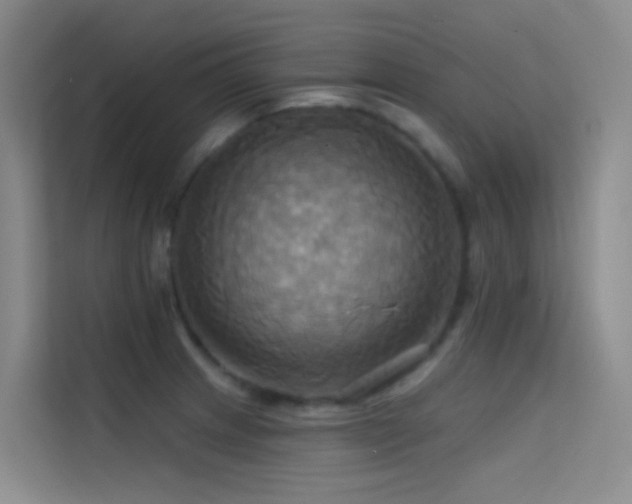 X0000114671233200910211144