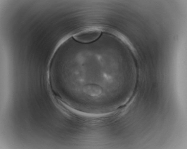 X0000114671234200910211144