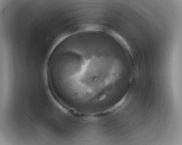 X0000114671235200910211144