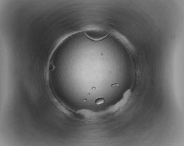 X0000114671236200910211144