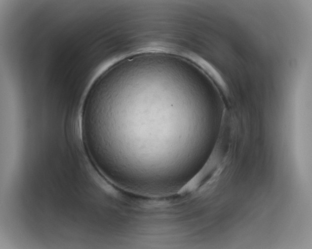X0000114671238200910211144