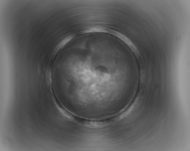 X0000114671241200910211144
