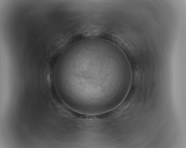 X0000114671250200910211143